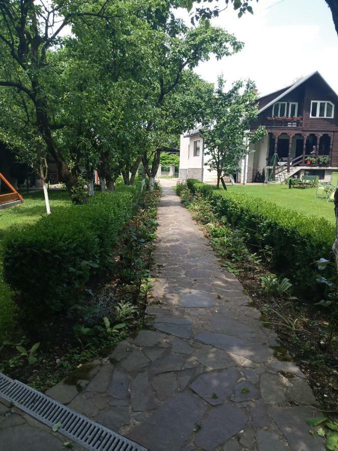 Casa Bota Hotel Viseu de Sus Ngoại thất bức ảnh