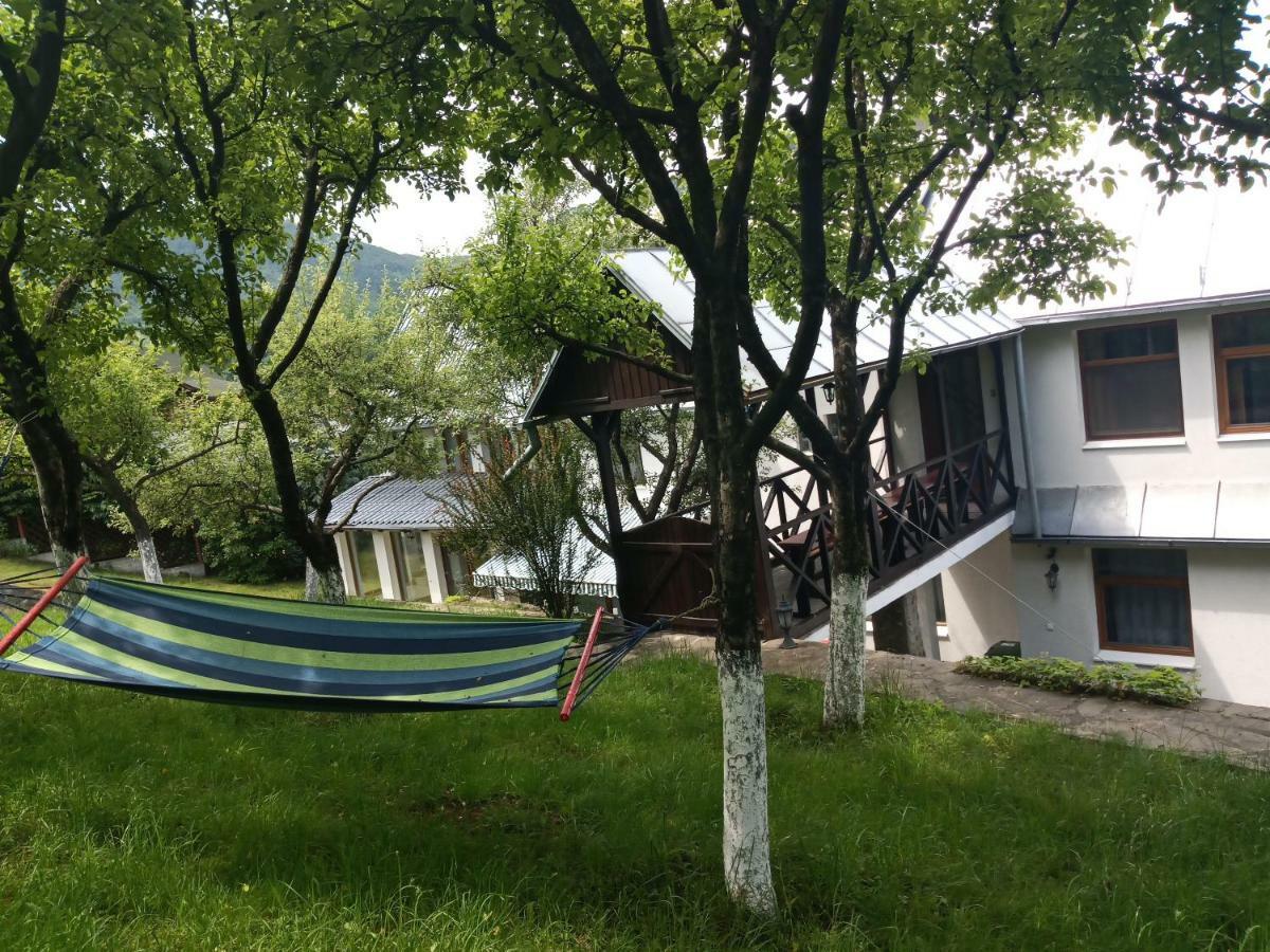 Casa Bota Hotel Viseu de Sus Ngoại thất bức ảnh